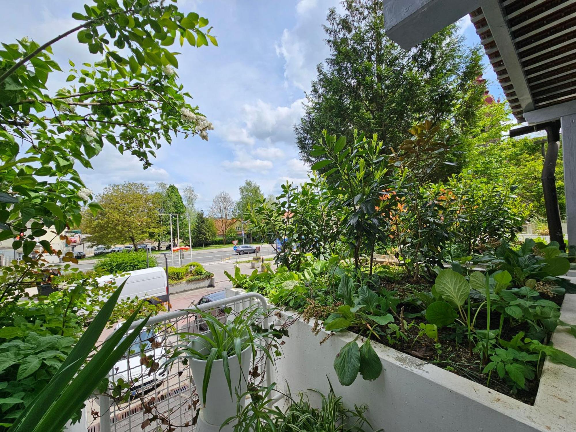 Appartement Park Bolero